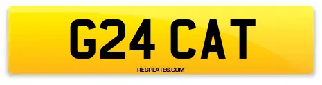 G24 CAT