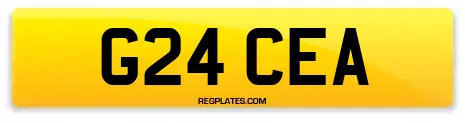 G24 CEA