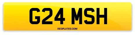 G24 MSH