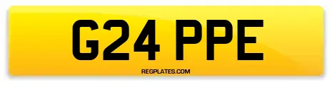 G24 PPE