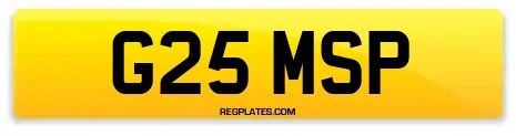 G25 MSP