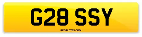 G28 SSY