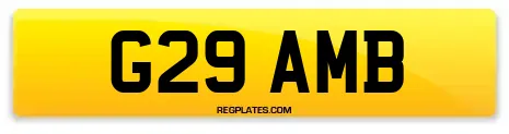 G29 AMB