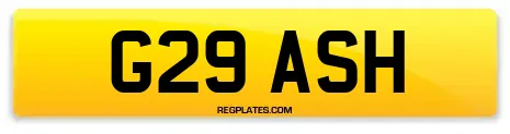G29 ASH