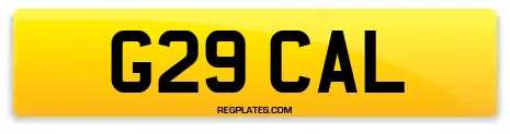 G29 CAL