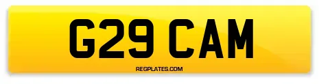 G29 CAM
