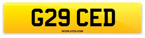 G29 CED