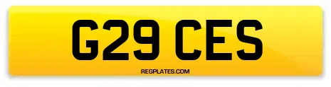 G29 CES