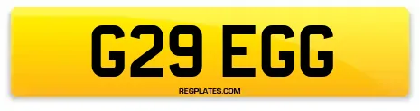 G29 EGG