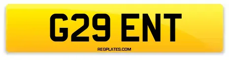G29 ENT