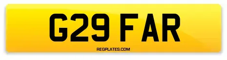 G29 FAR