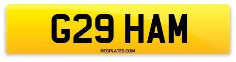 G29 HAM
