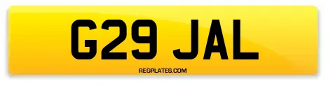 G29 JAL
