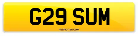 G29 SUM