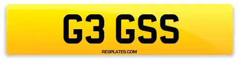G3 GSS