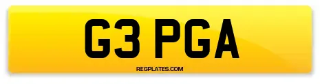 G3 PGA