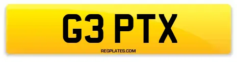 G3 PTX