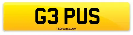 G3 PUS