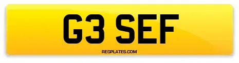 G3 SEF