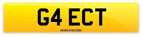 G4 ECT