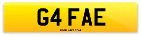 G4 FAE