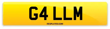 G4 LLM