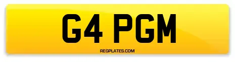 G4 PGM