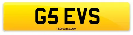 G5 EVS
