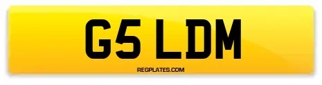 G5 LDM