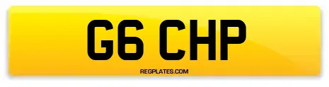 G6 CHP