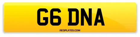 G6 DNA