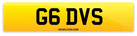 G6 DVS