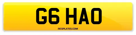G6 HAO