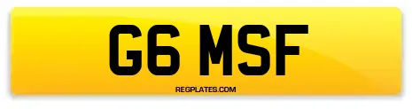 G6 MSF