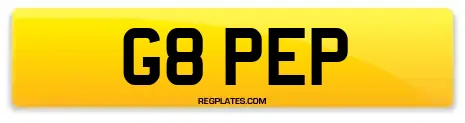 G8 PEP
