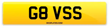 G8 VSS