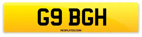 G9 BGH