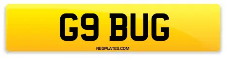 G9 BUG
