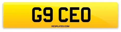 G9 CEO
