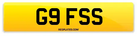 G9 FSS