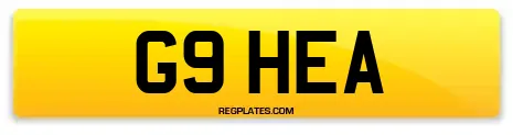 G9 HEA