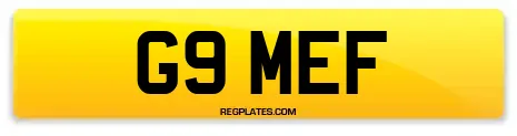 G9 MEF