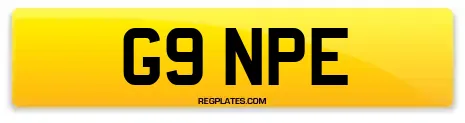G9 NPE
