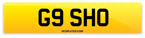 G9 SHO