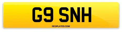 G9 SNH