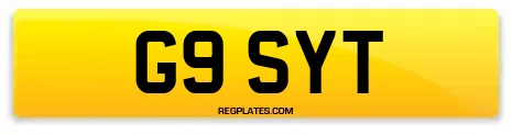 G9 SYT