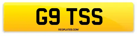 G9 TSS