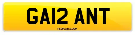 GA12 ANT