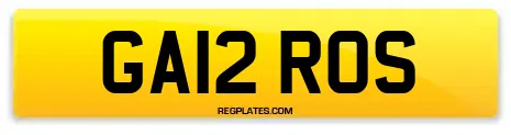 GA12 ROS