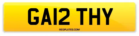 GA12 THY